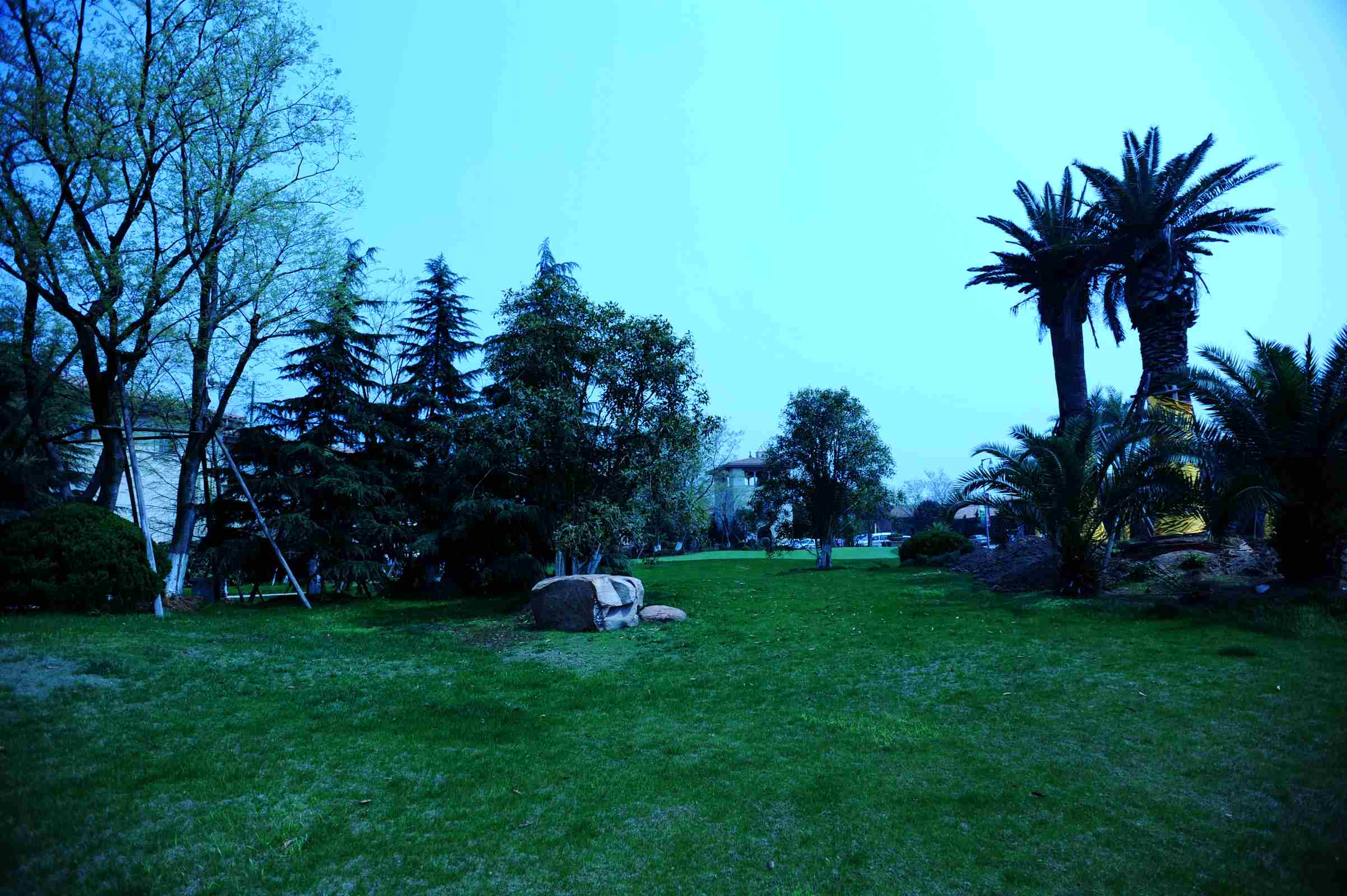 dsc_4029.jpg