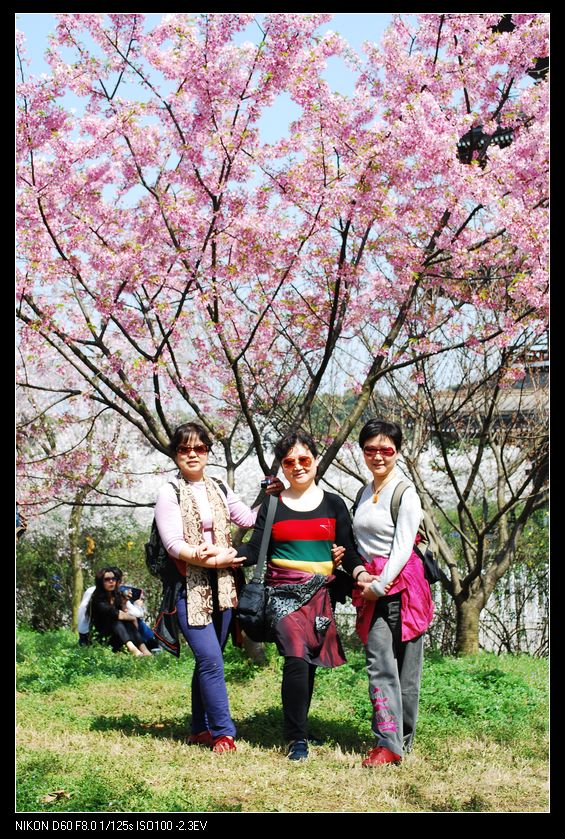 neo_img_ӣ԰ 059.jpg
