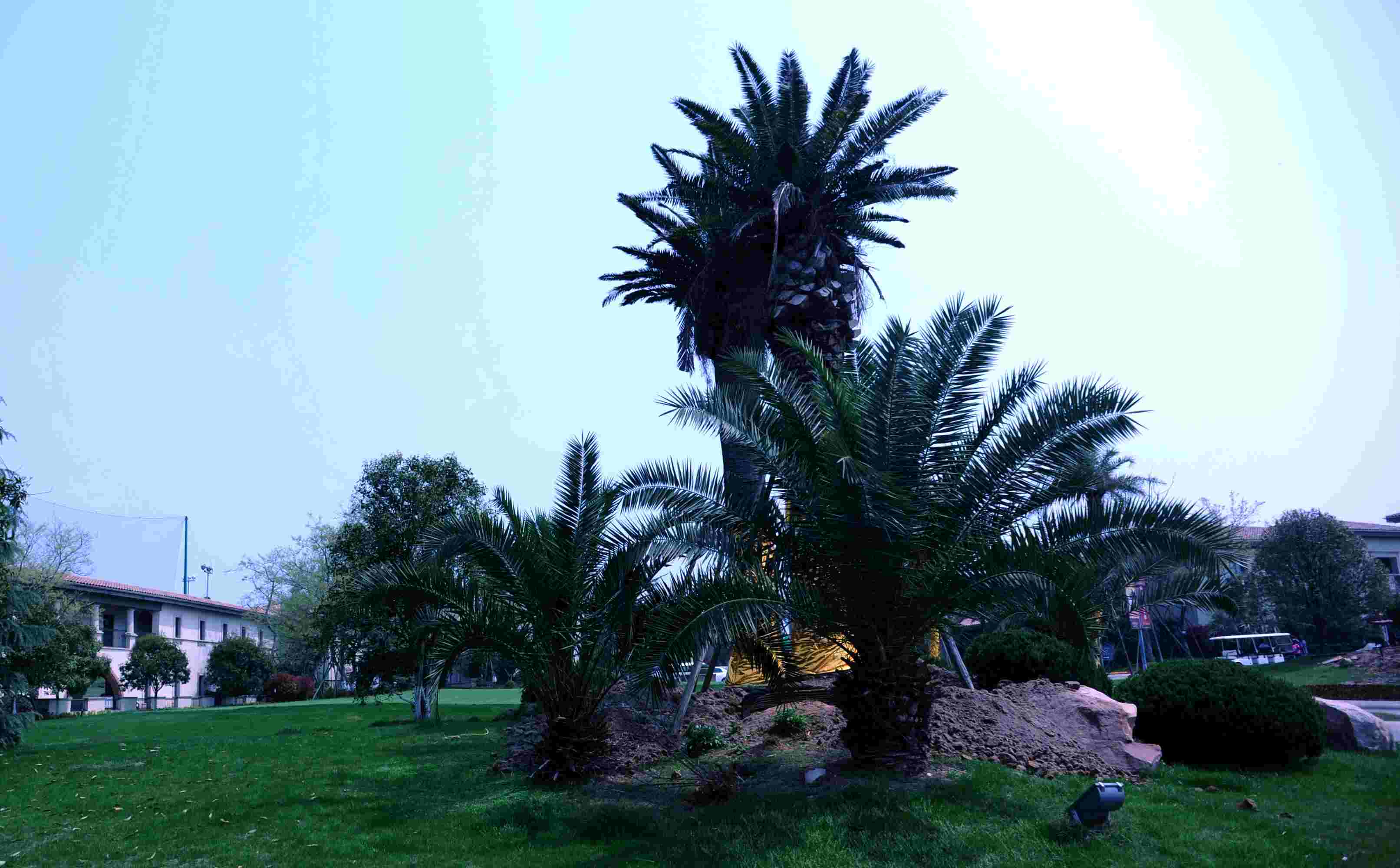 dsc_4030.jpg