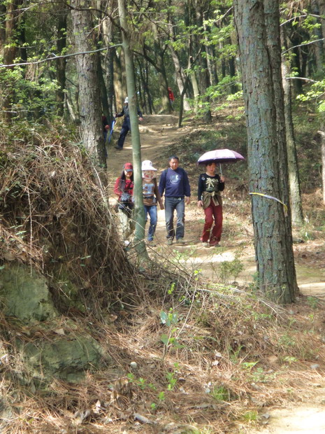 dsc06250.jpg