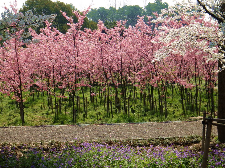 dsc05934.jpg