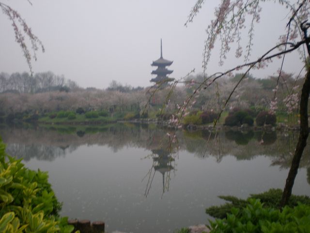 p4040051.jpg