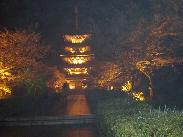 p4040058.jpg