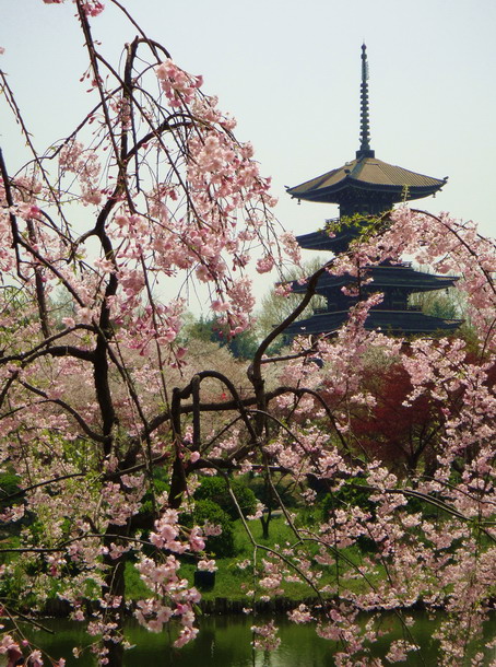 dsc06281.jpg