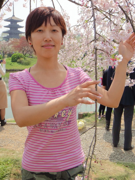 dsc06301.jpg