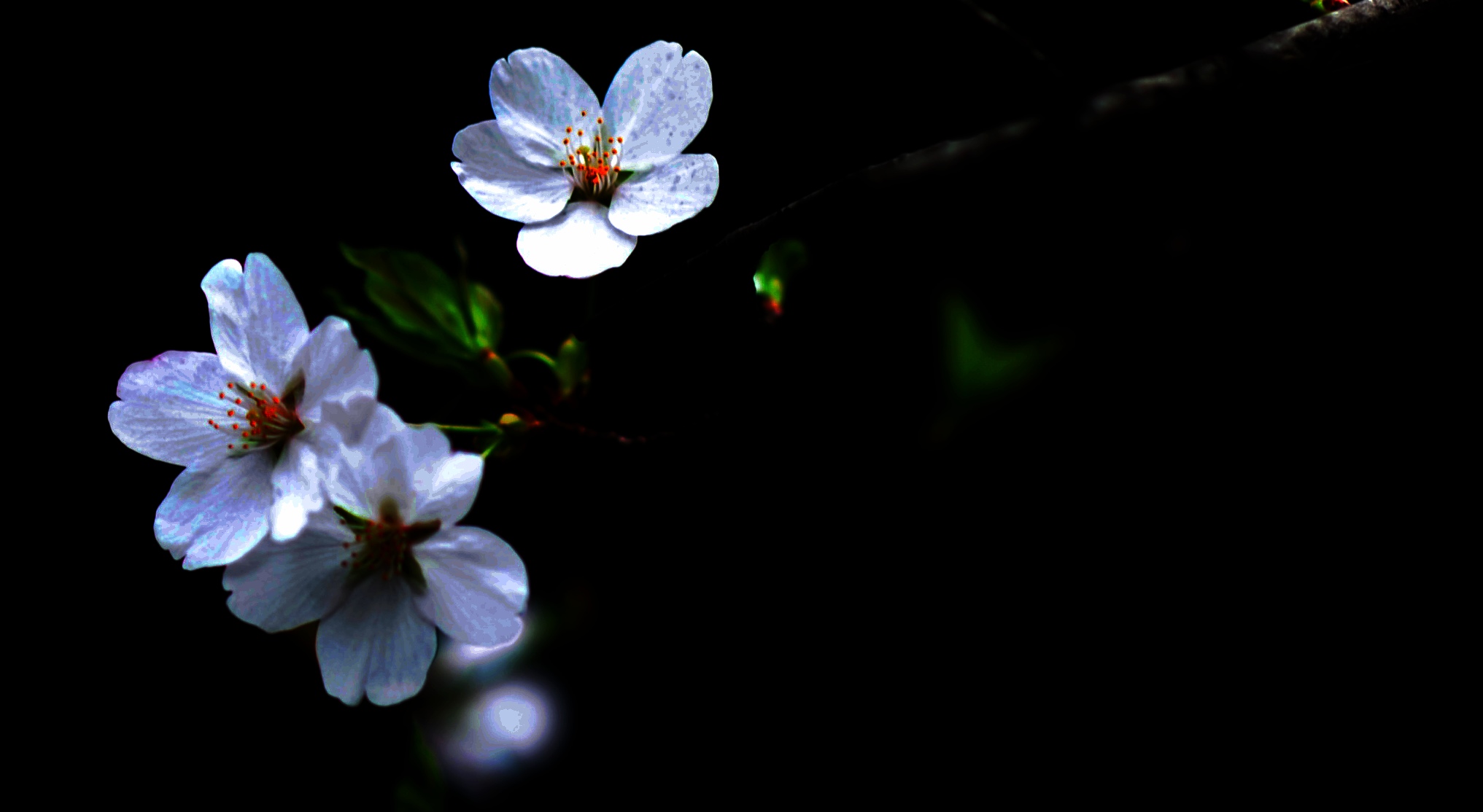 dsc_2825.jpg