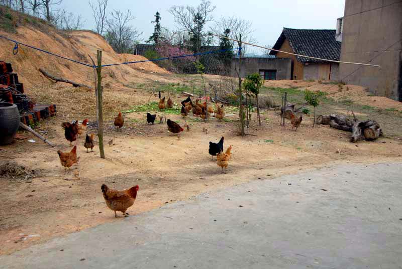 mkk_0336.jpg
