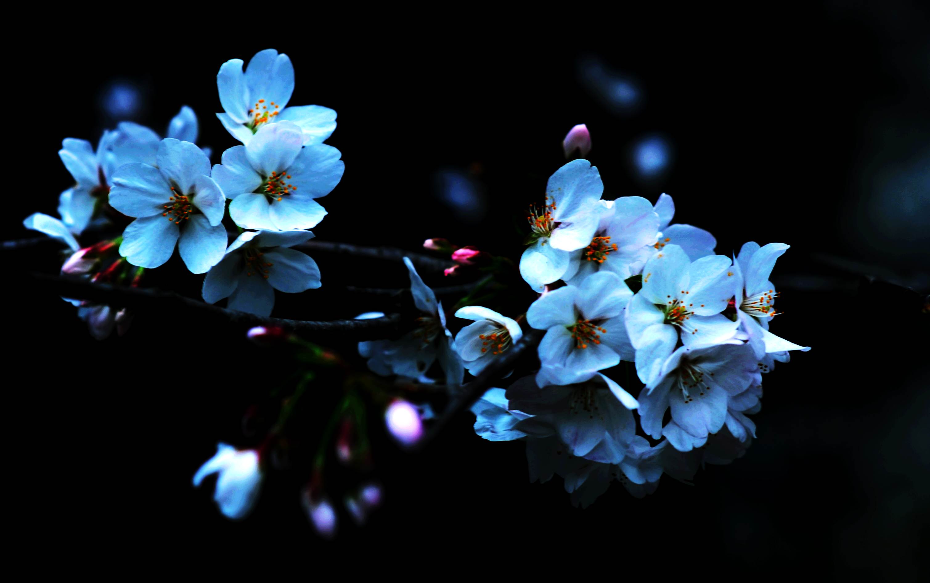 dsc_3059.jpg