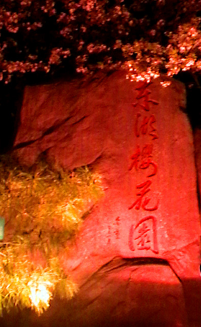 imga0715_.jpg