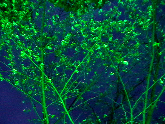 imga0674_.jpg
