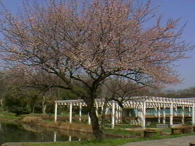 imga0417_.jpg