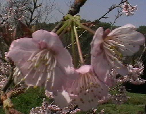 imga0431_.jpg