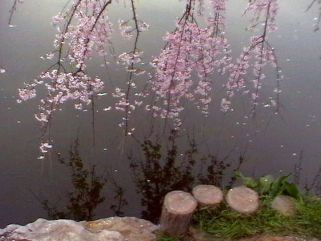 imga0657_.jpg