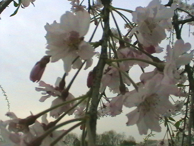 imga0658_.jpg
