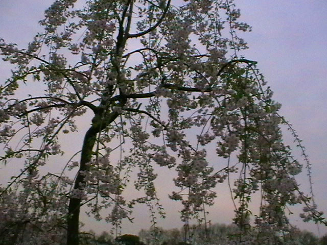 imga0659_.jpg