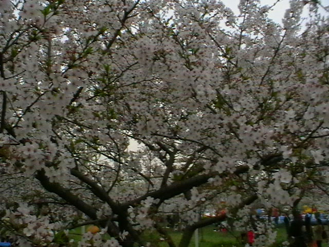 imga0665_.jpg