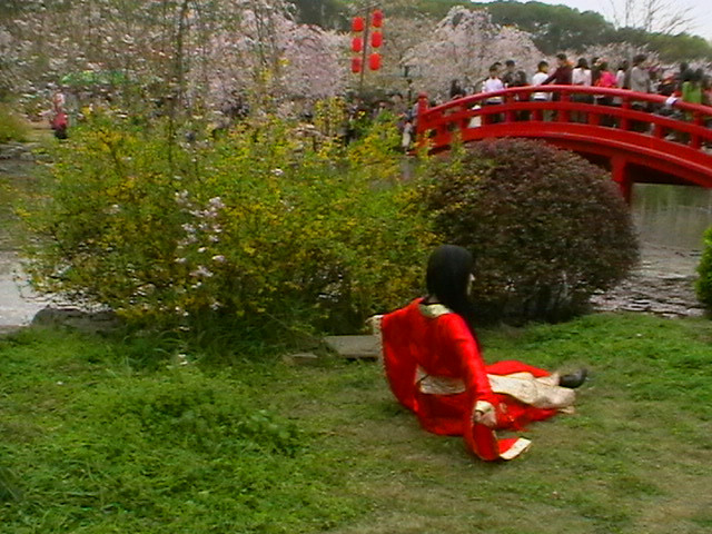 imga0568_.jpg