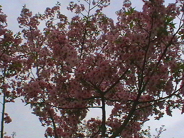 imga0584_.jpg