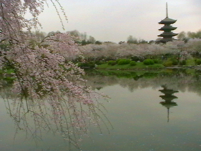 imga0595_.jpg