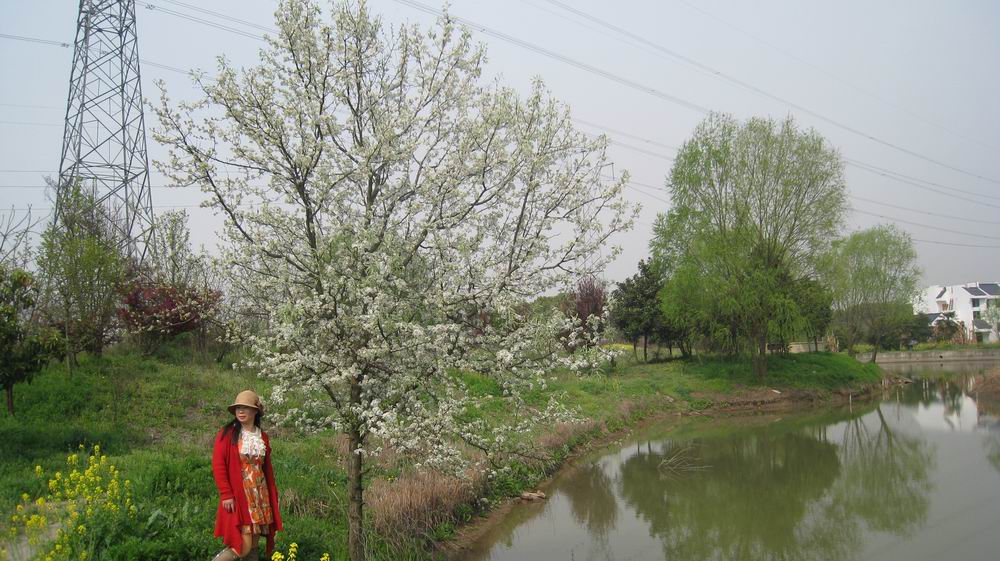 С ۻ 379.jpg