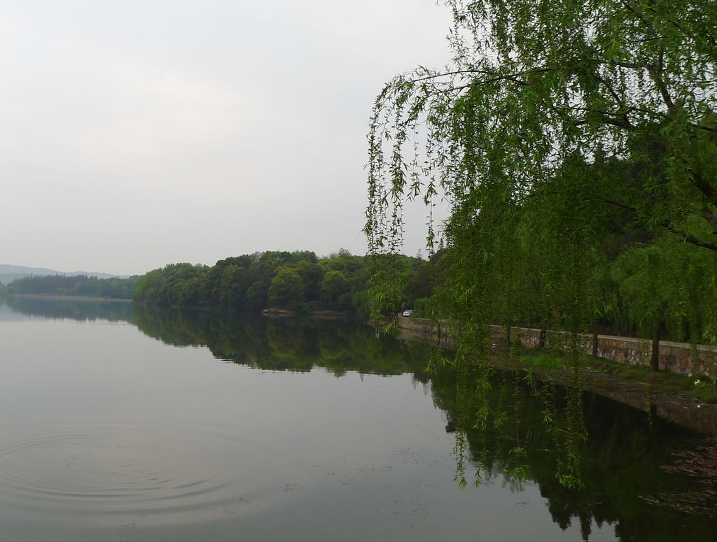 p1010924.jpg