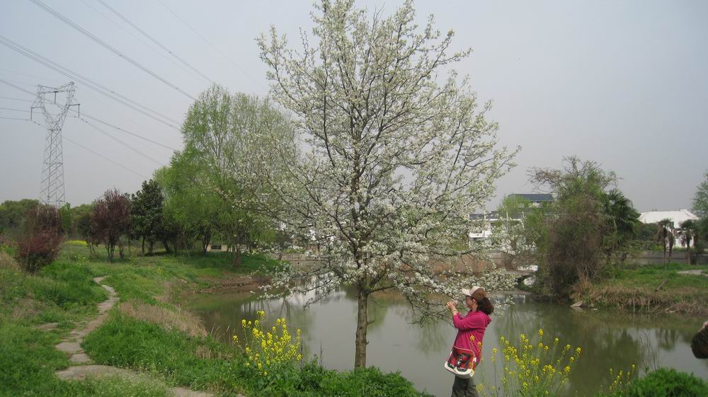 С ۻ 375.jpg