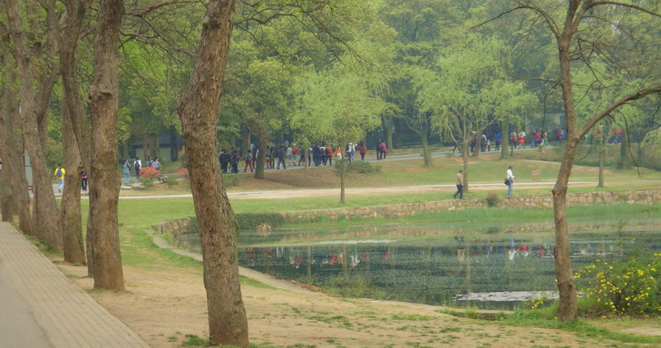 dsc06615.jpg