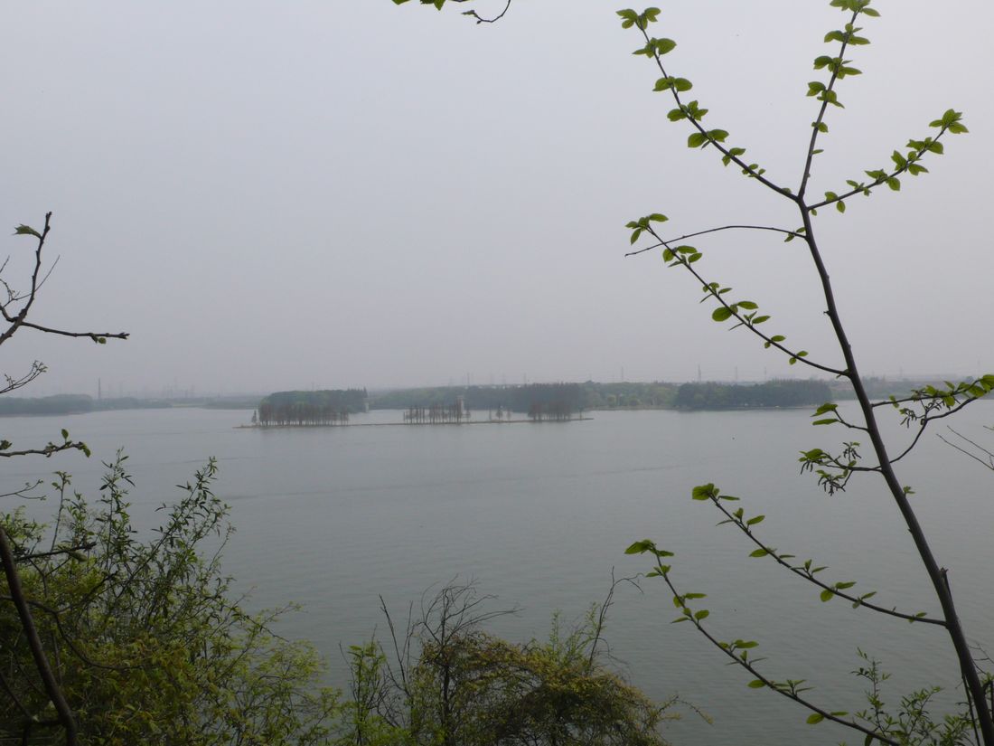 l1120283.jpg