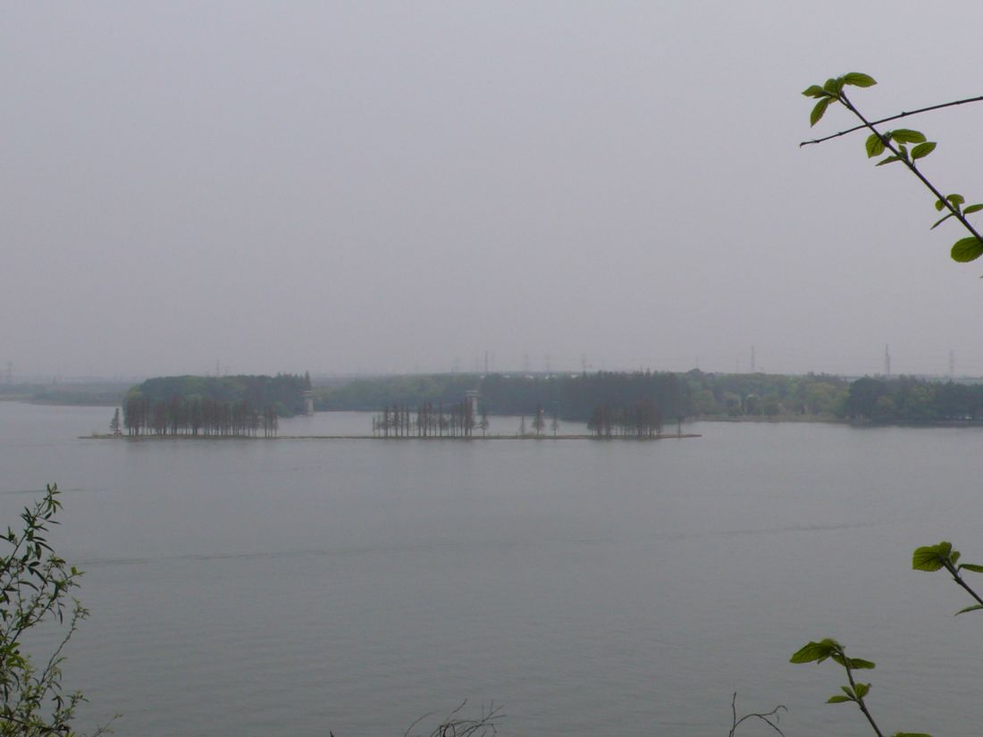 l1120284.jpg
