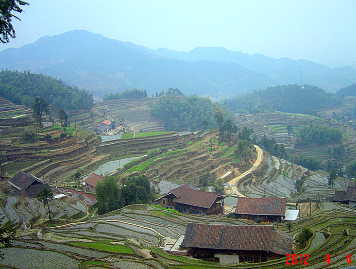 dsc04142_.jpg
