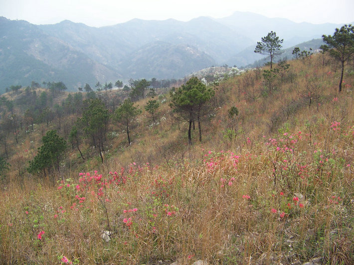 100_9678.jpg