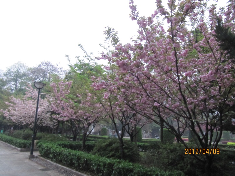 img_6242.jpg