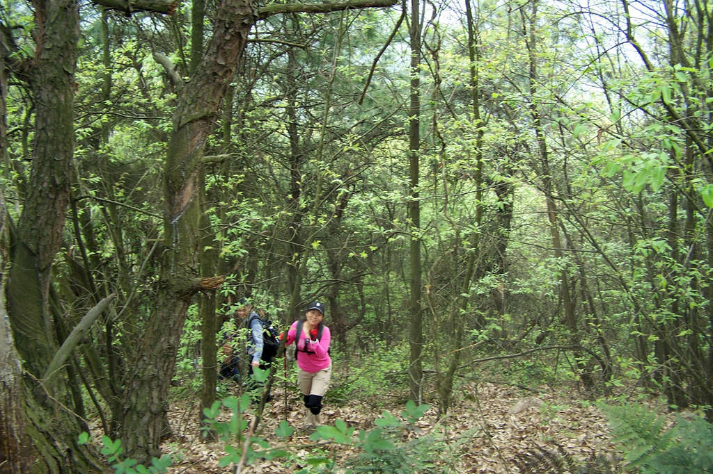 100_9796.jpg