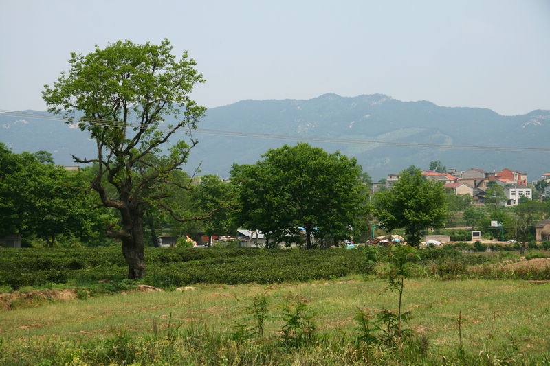 img_4066.jpg