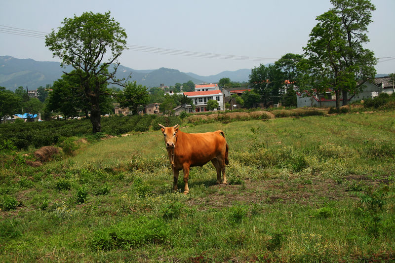 img_4063.jpg