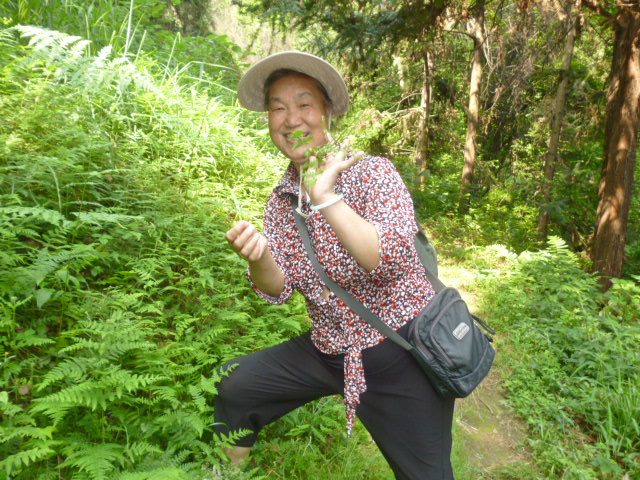 p1030060.jpg
