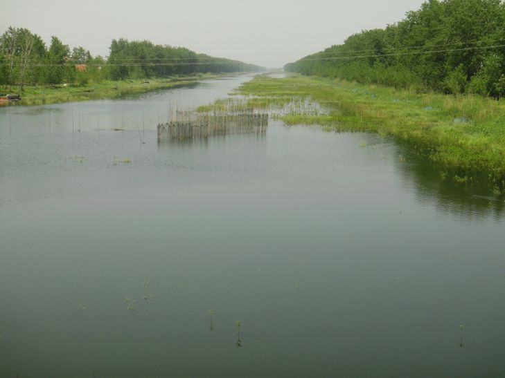 ds��c08407.jpg