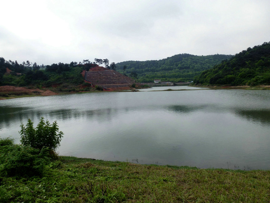 p1000946.jpg