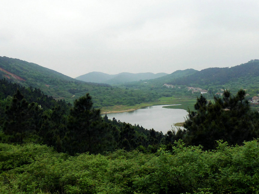 p1000969.jpg