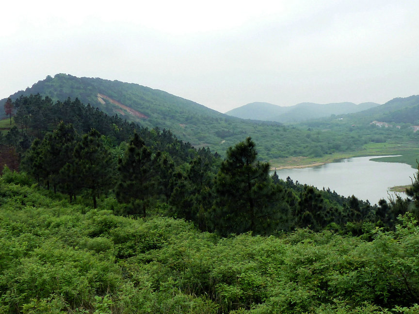 p1000970.jpg