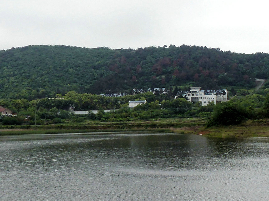 p1000975.jpg