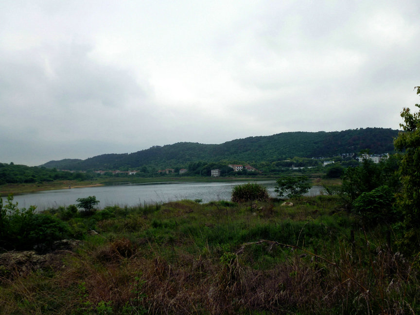 p1000973.jpg