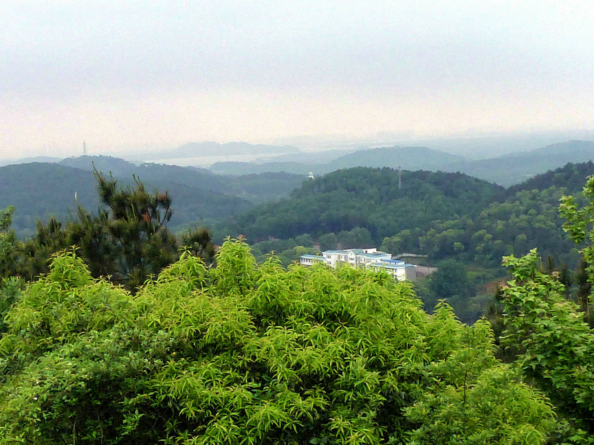 p1000976.jpg