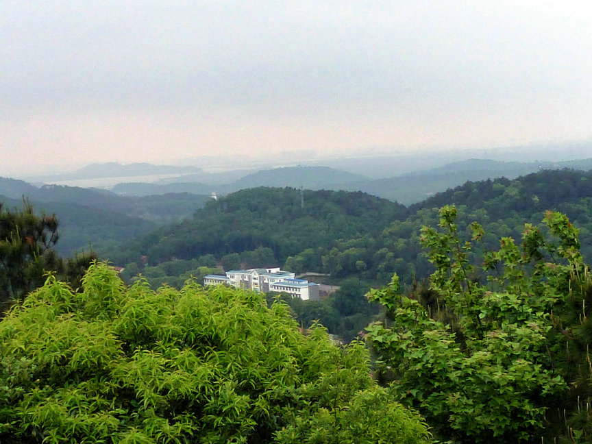 p1000977.jpg