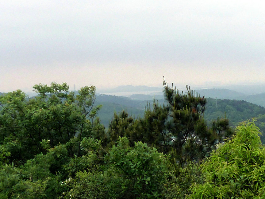 p1000979.jpg