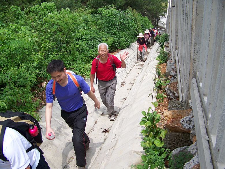 neo_img_100_6736.jpg