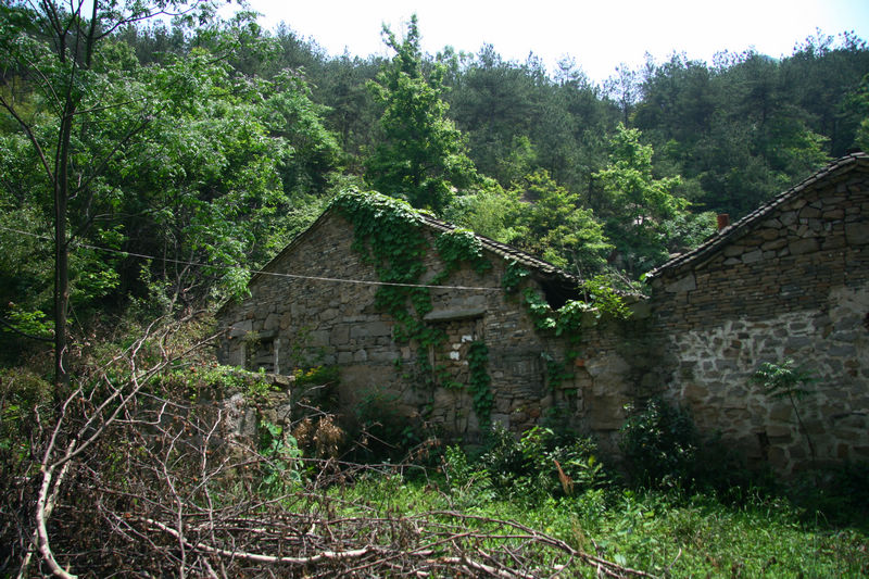 img_4176.jpg