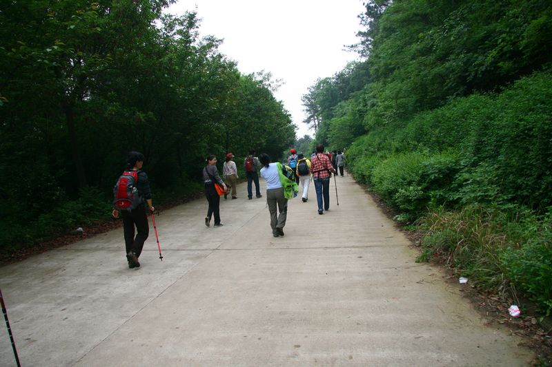 img_3375.jpg