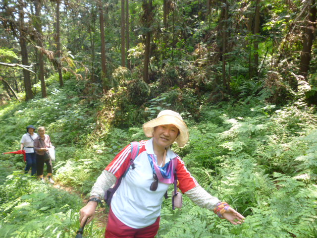 p1030098.jpg