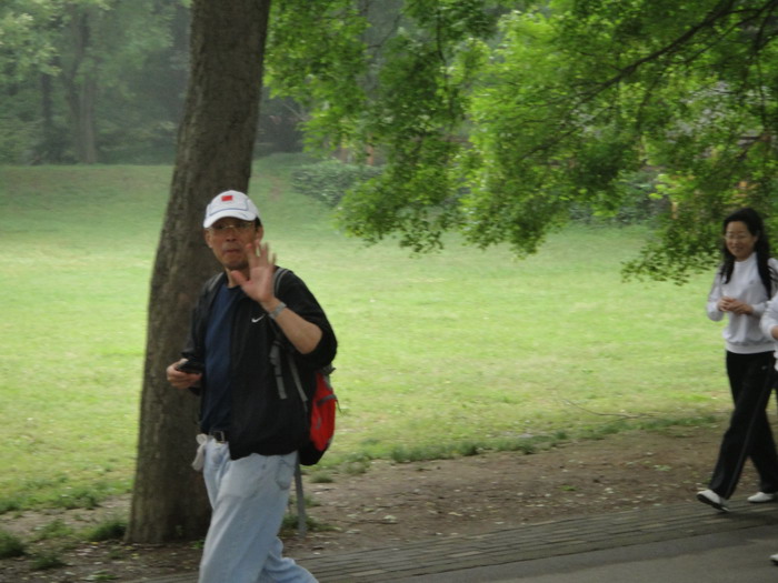 455-9.jpg